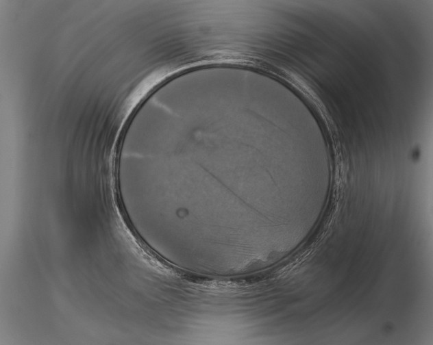 X0000116021291200912111343