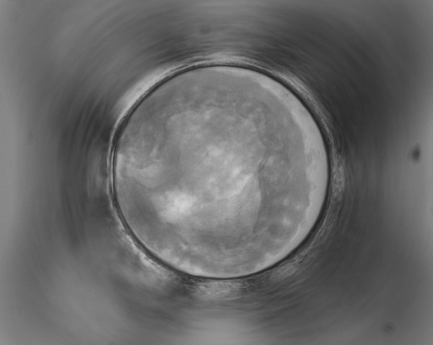 X0000116021294200912111343