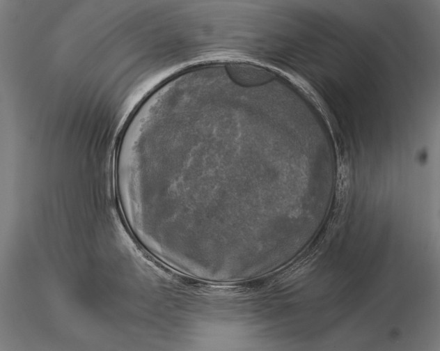 X0000116021295200912111343