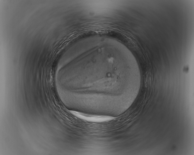 X0000116021298200912111342