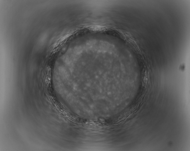 X0000116021301200912111342