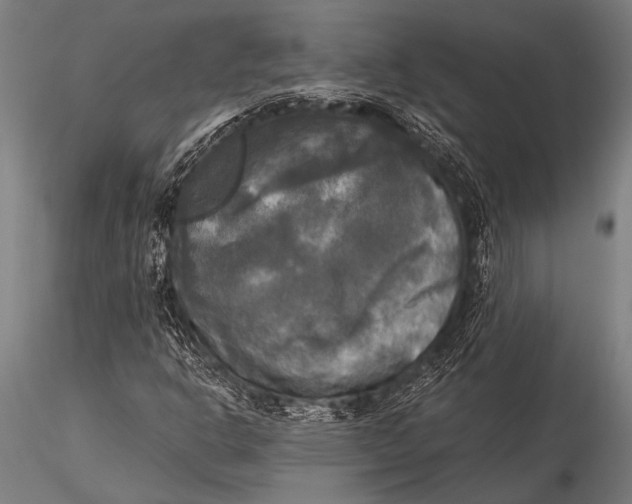 X0000116021302200912111342