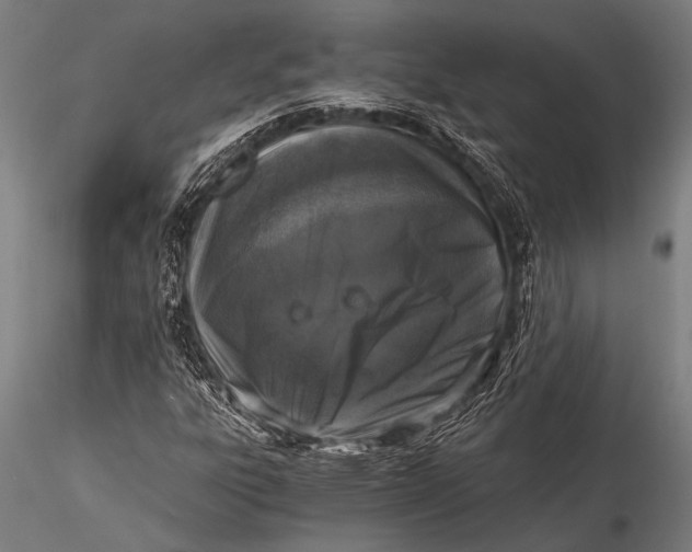 X0000116021303200912111342