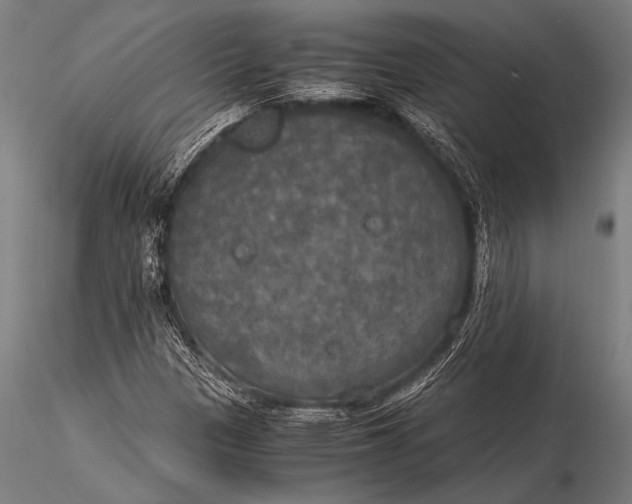 X0000116021305200912111342