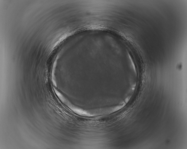 X0000116021306200912111342