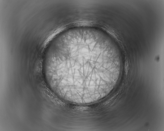 X0000116021309200912111342