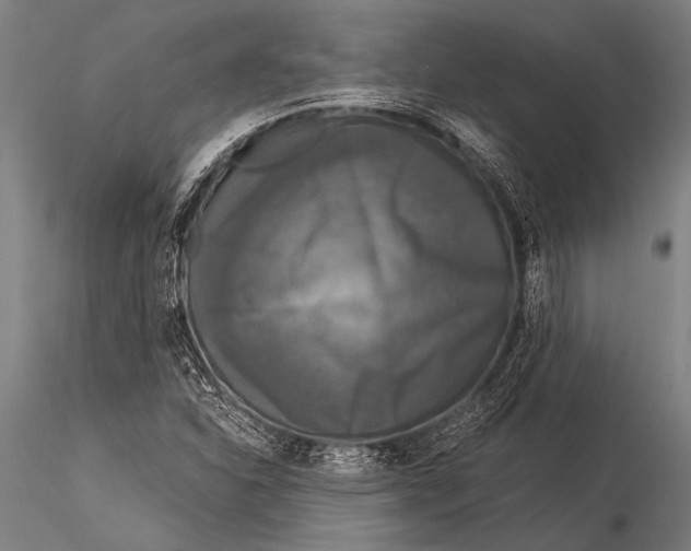 X0000116021310200912111342