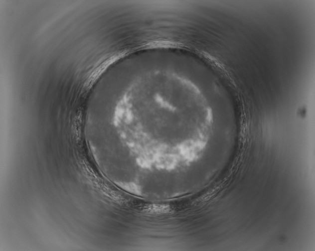 X0000116021313200912111342