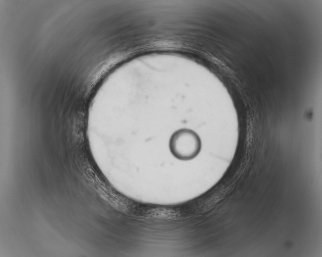 X0000116021314200912111342