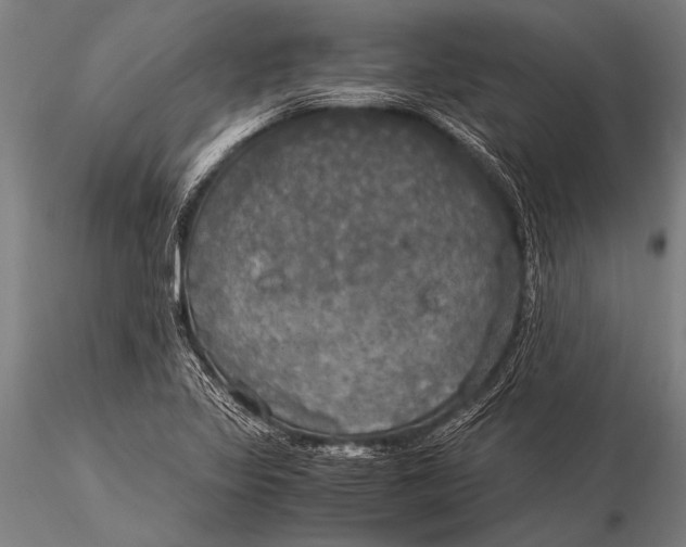 X0000116021317200912111342