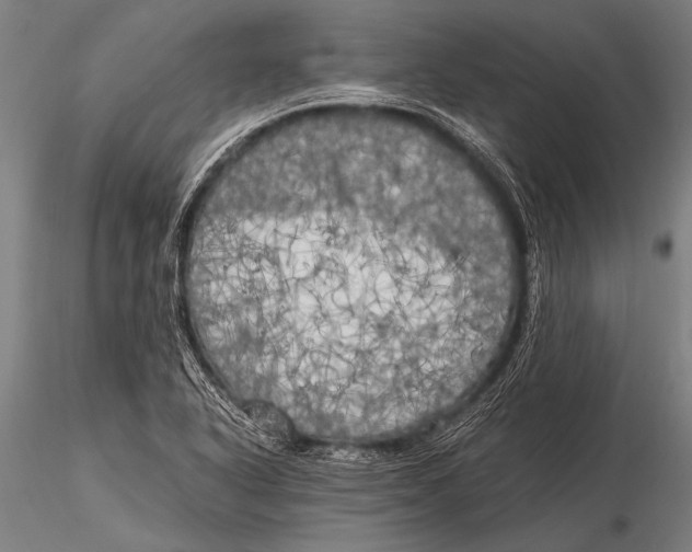 X0000116021318200912111342