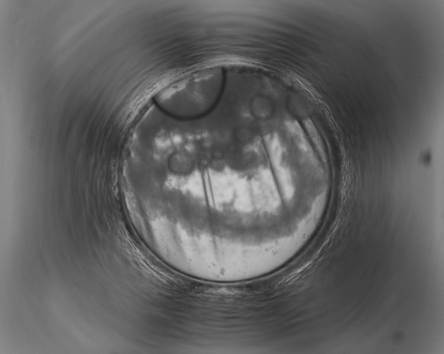 X0000116021321200912111342