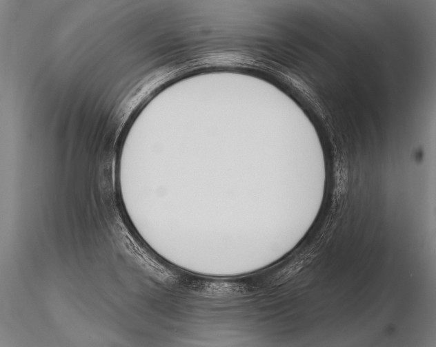 X0000116021322200912111342