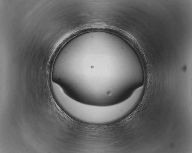 X0000116021326200912111342