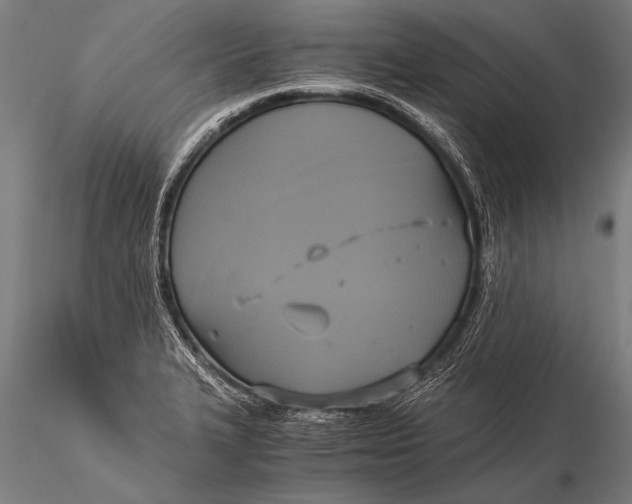 X0000116021327200912111342