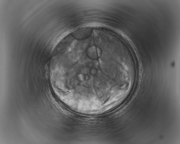 X0000116021329200912111342