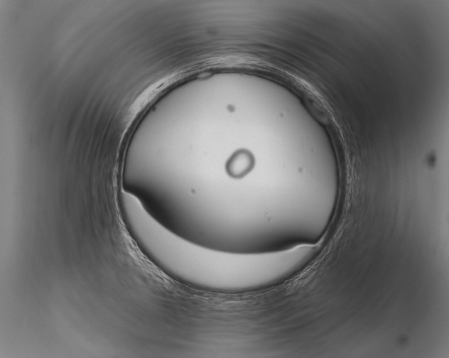 X0000116021330200912111342