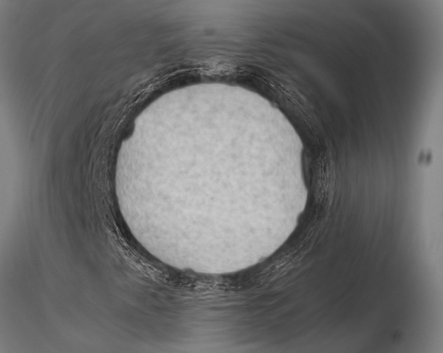 X0000116021345200912111342