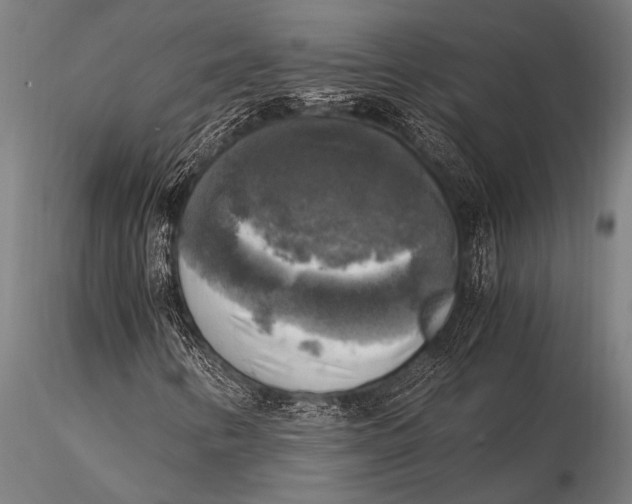 X0000116021346200912111342