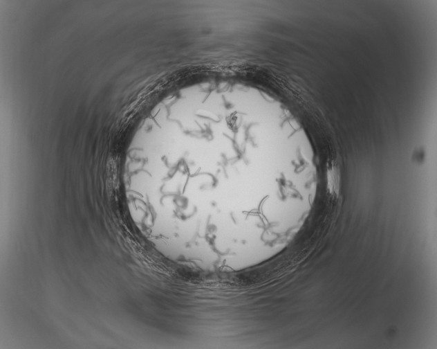 X0000116021347200912111342