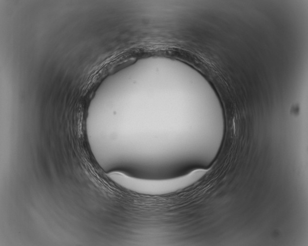 X0000116021348200912111342