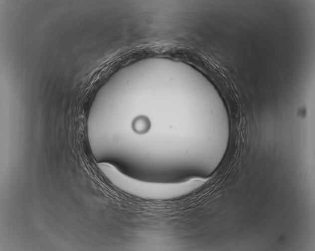 X0000116021349200912111342