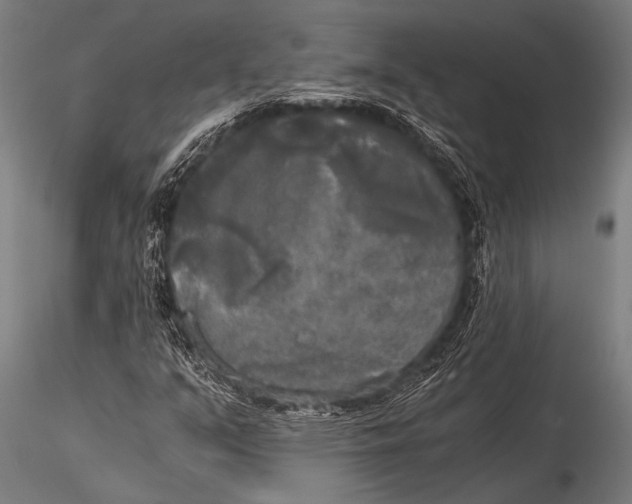 X0000116021351200912111342