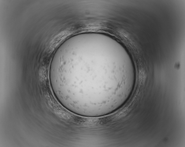 X0000116021353200912111342