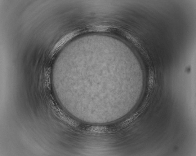 X0000116021354200912111342