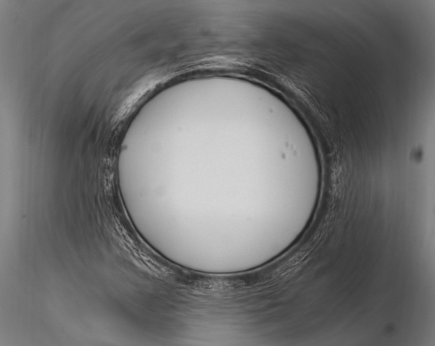 X0000116021355200912111342