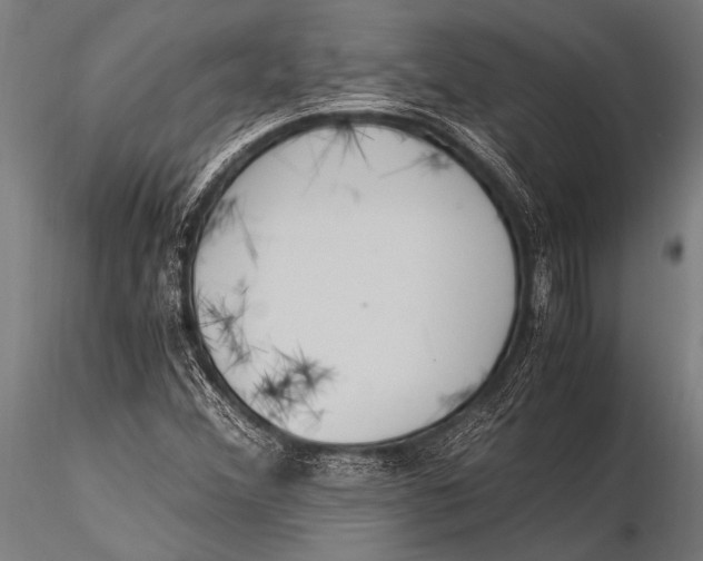 X0000116021356200912111342