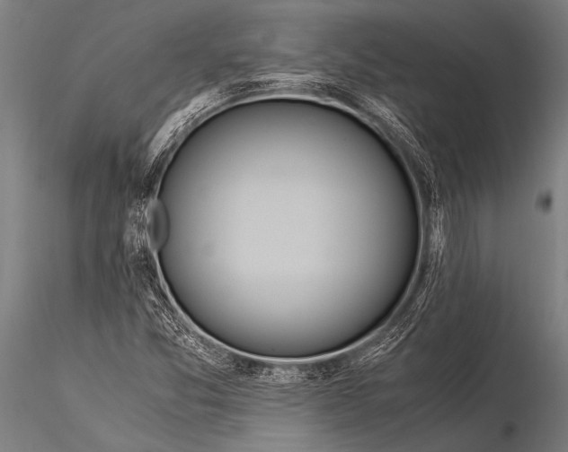 X0000116021357200912111342