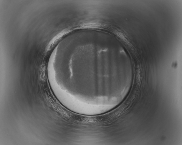 X0000116021358200912111342