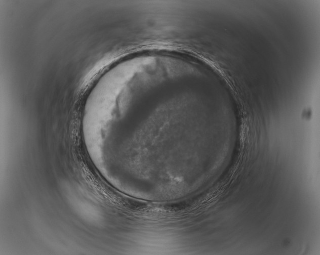 X0000116021359200912111342