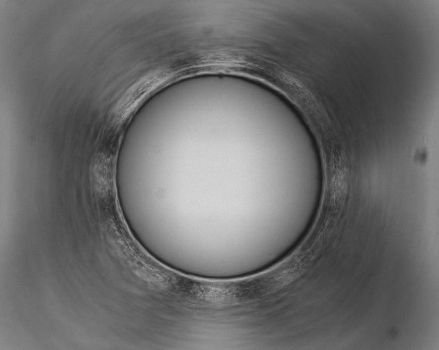 X0000116021361200912111342