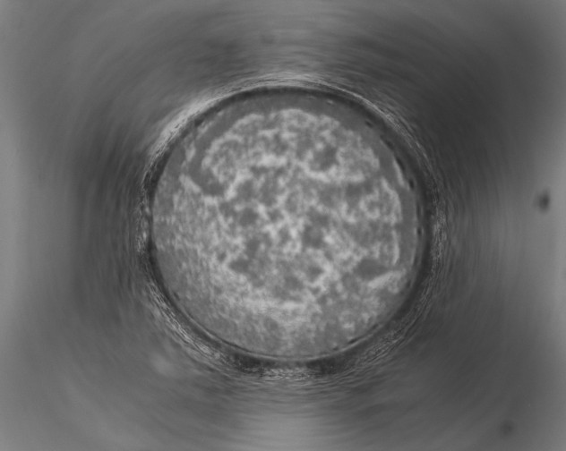 X0000116021363200912111342