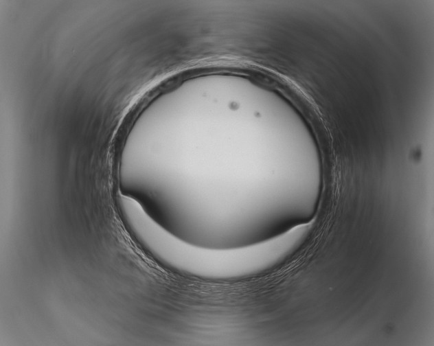 X0000116021364200912111342