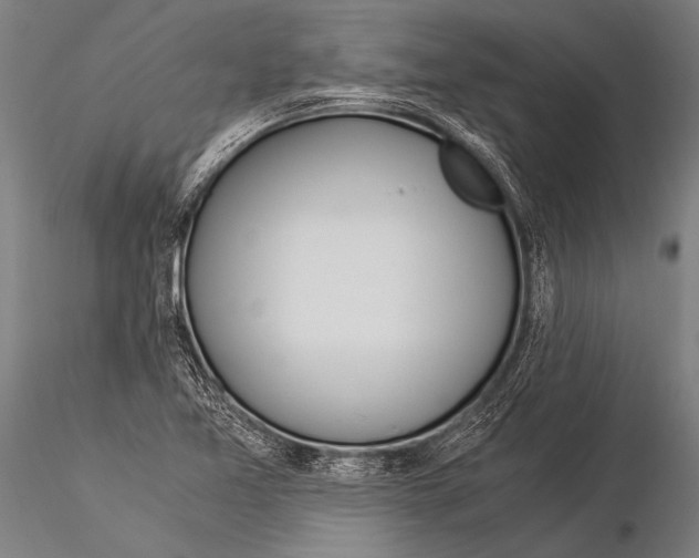 X0000116021365200912111342