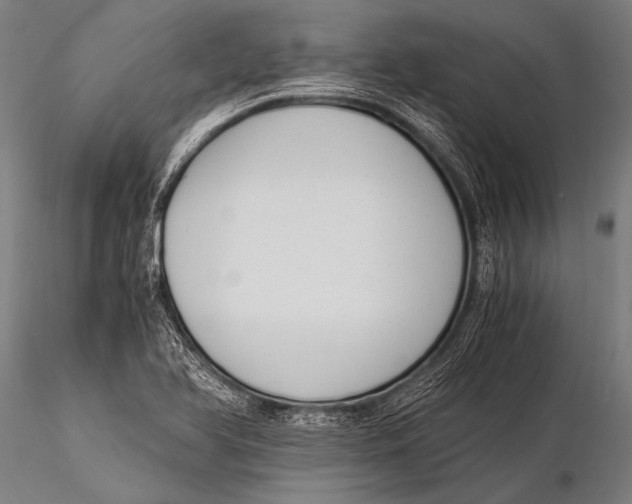 X0000116021366200912111342