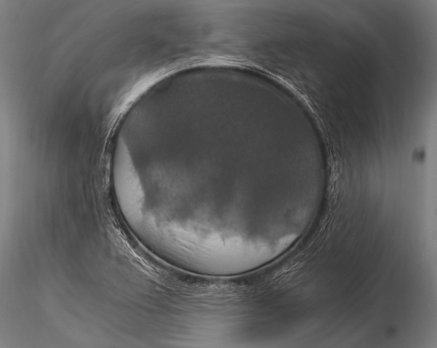 X0000116021367200912111342