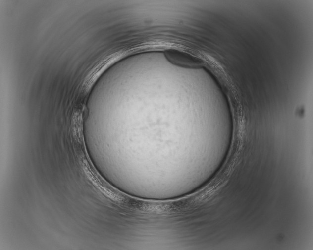 X0000116021369200912111341