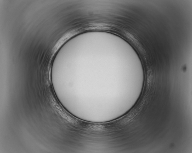 X0000116021370200912111341