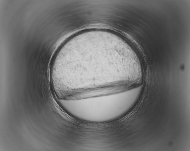 X0000116021372200912111341