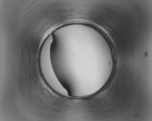 X0000116021373200912111341