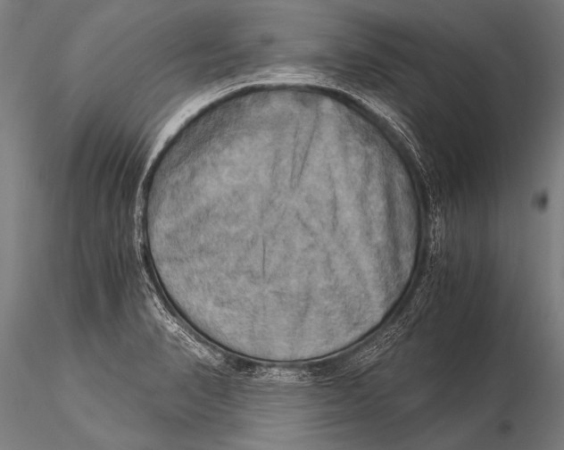 X0000116021374200912111341