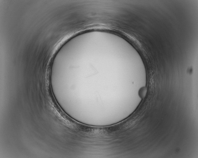 X0000116021375200912111341