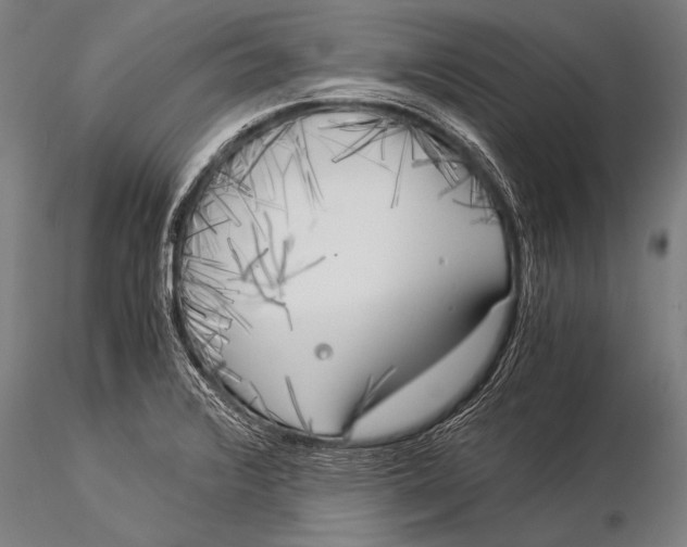 X0000116021376200912111341