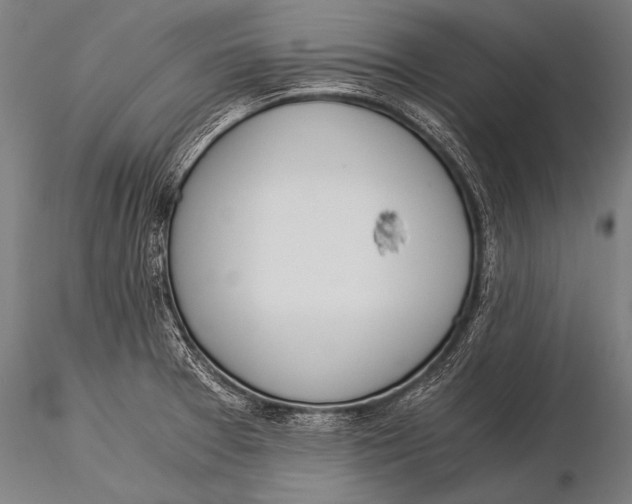 X0000116021377200912111341