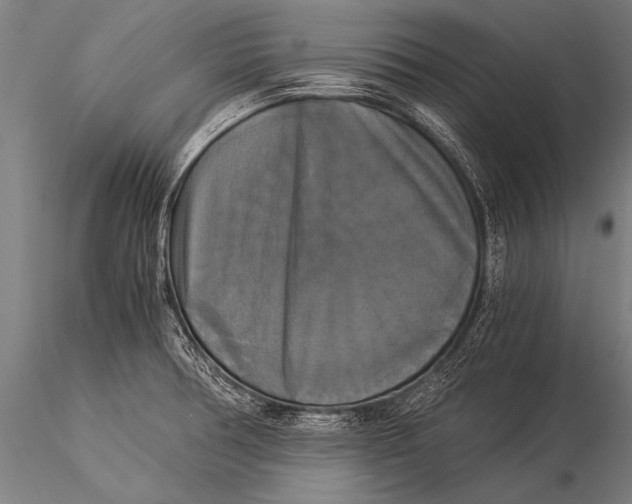 X0000116021378200912111341