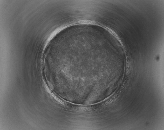 X0000116021381200912111341